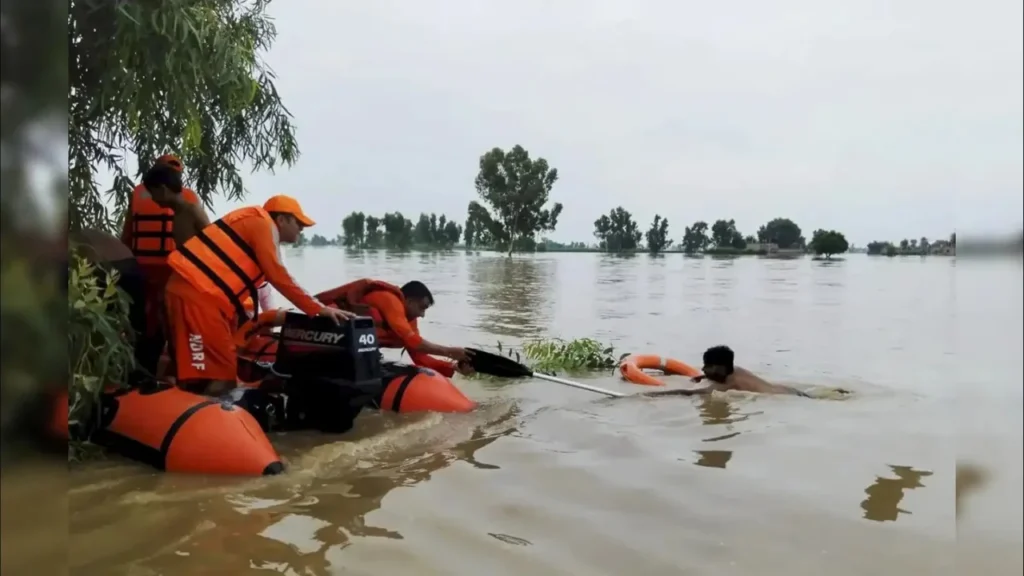 Punjab declared disaster-hit,