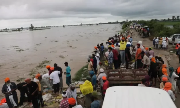 Punjab declared disaster-hit, 30 people died