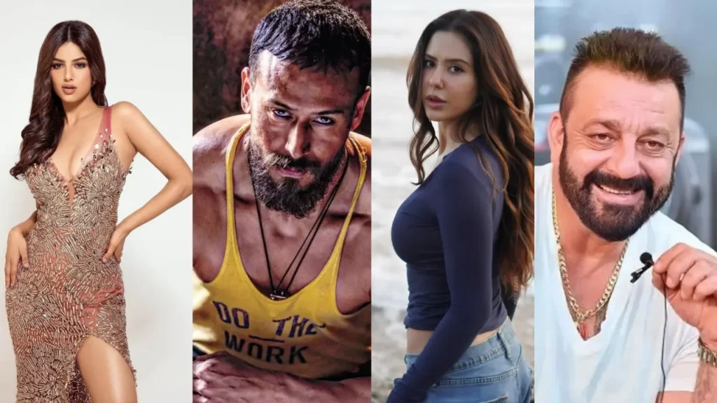 baaghi 4-star cast